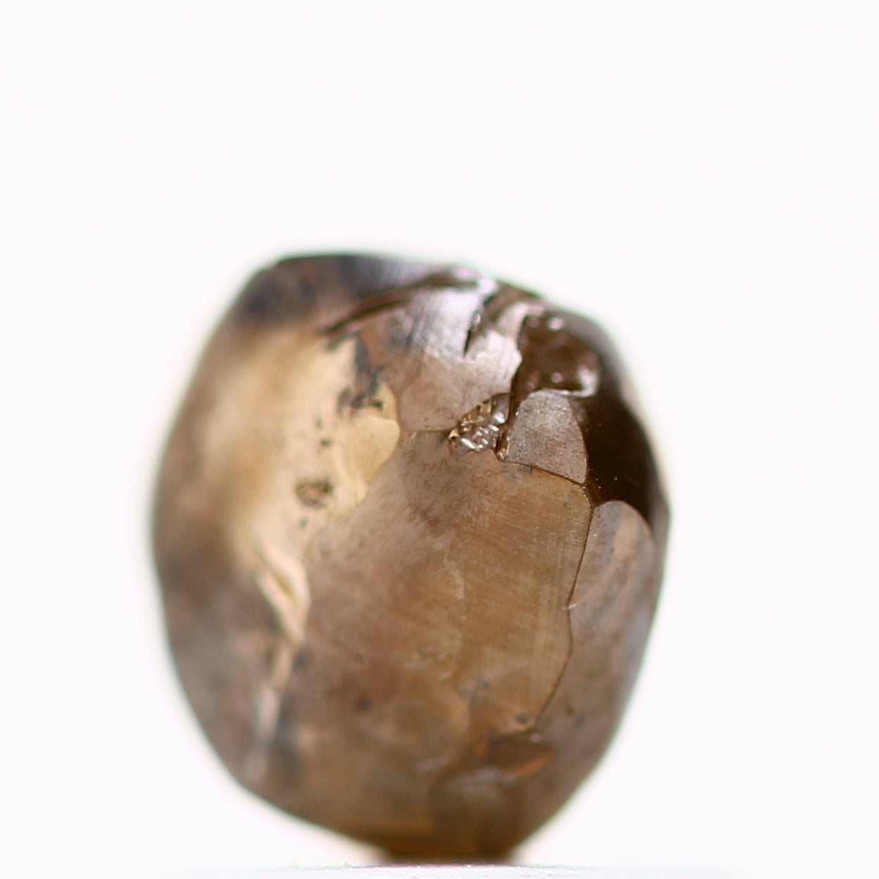 ClariOLED Transparent OLED Display price