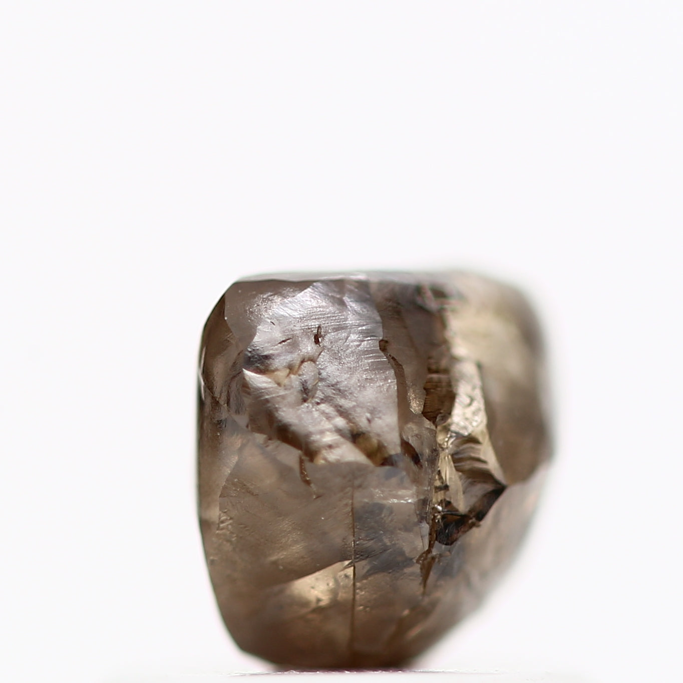 ClariOLED Transparent OLED Display price