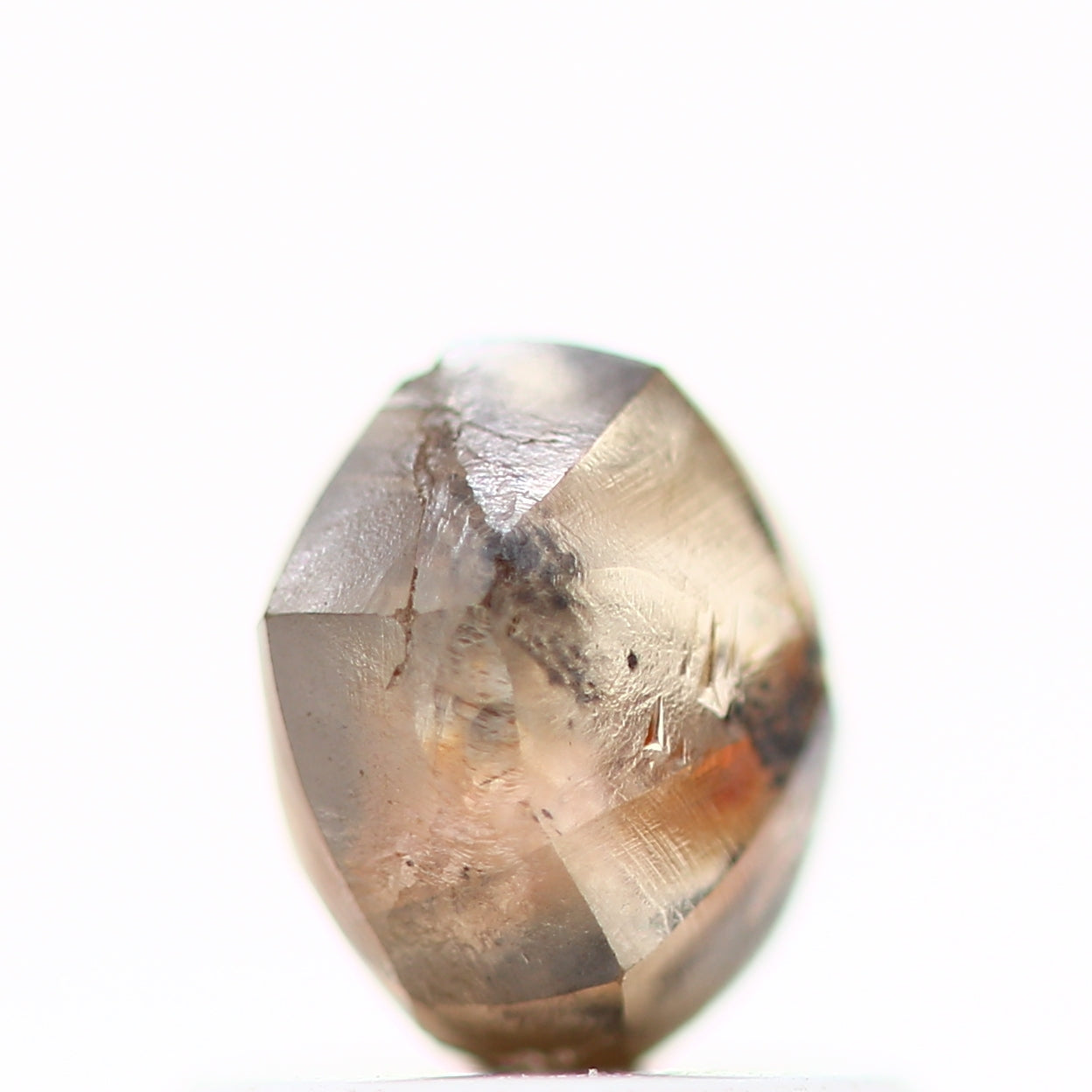 ClariOLED Transparent OLED Display price