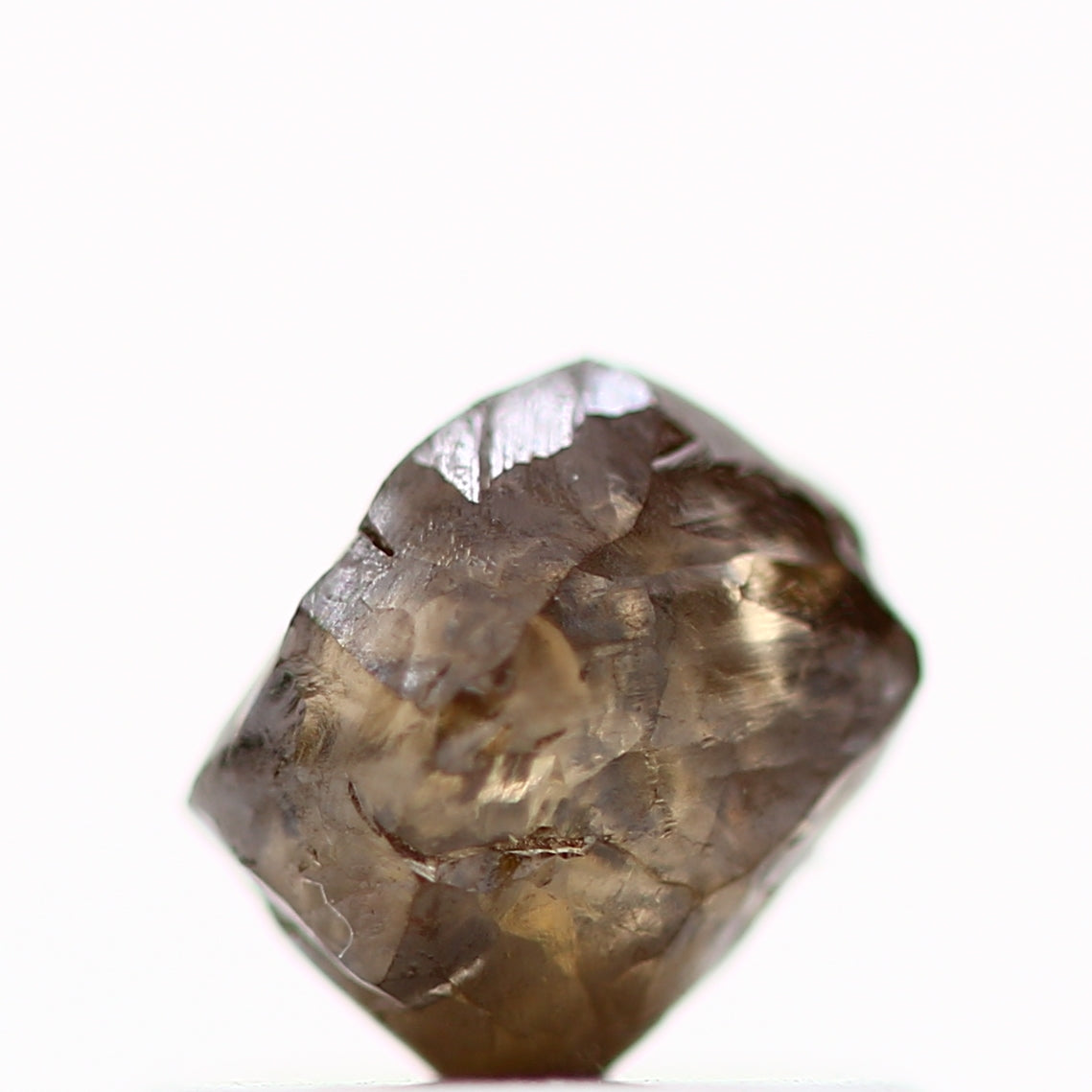 ClariOLED Transparent OLED Display price