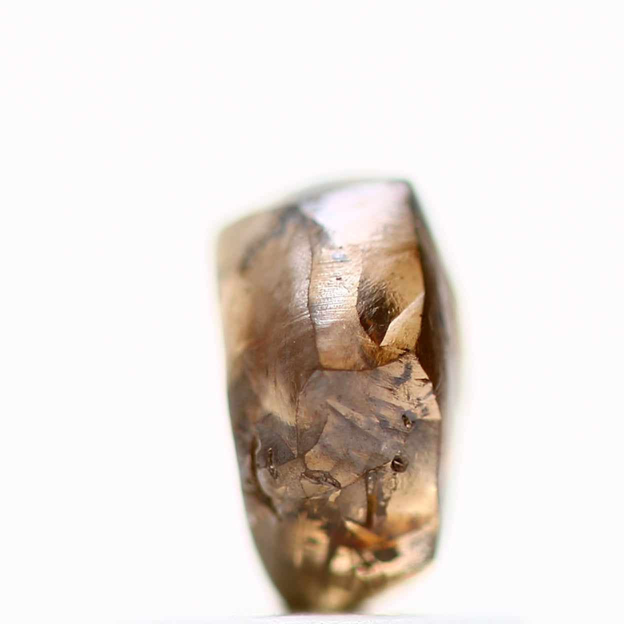 ClariOLED Transparent OLED Display price