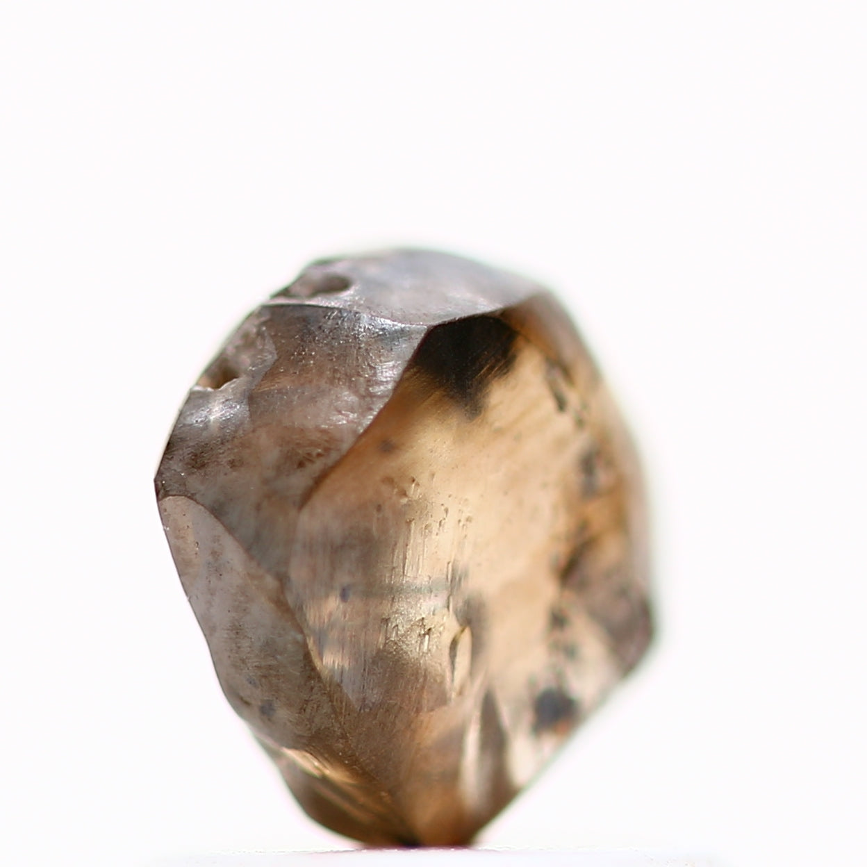 ClariOLED Transparent OLED Display price