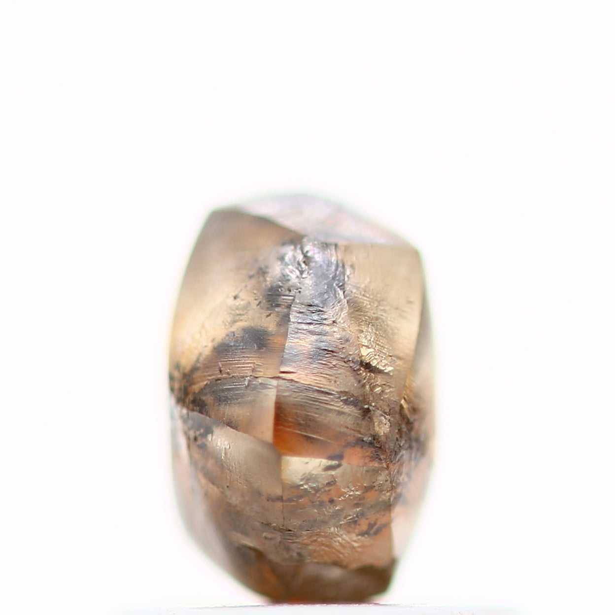 ClariOLED Transparent OLED Display price