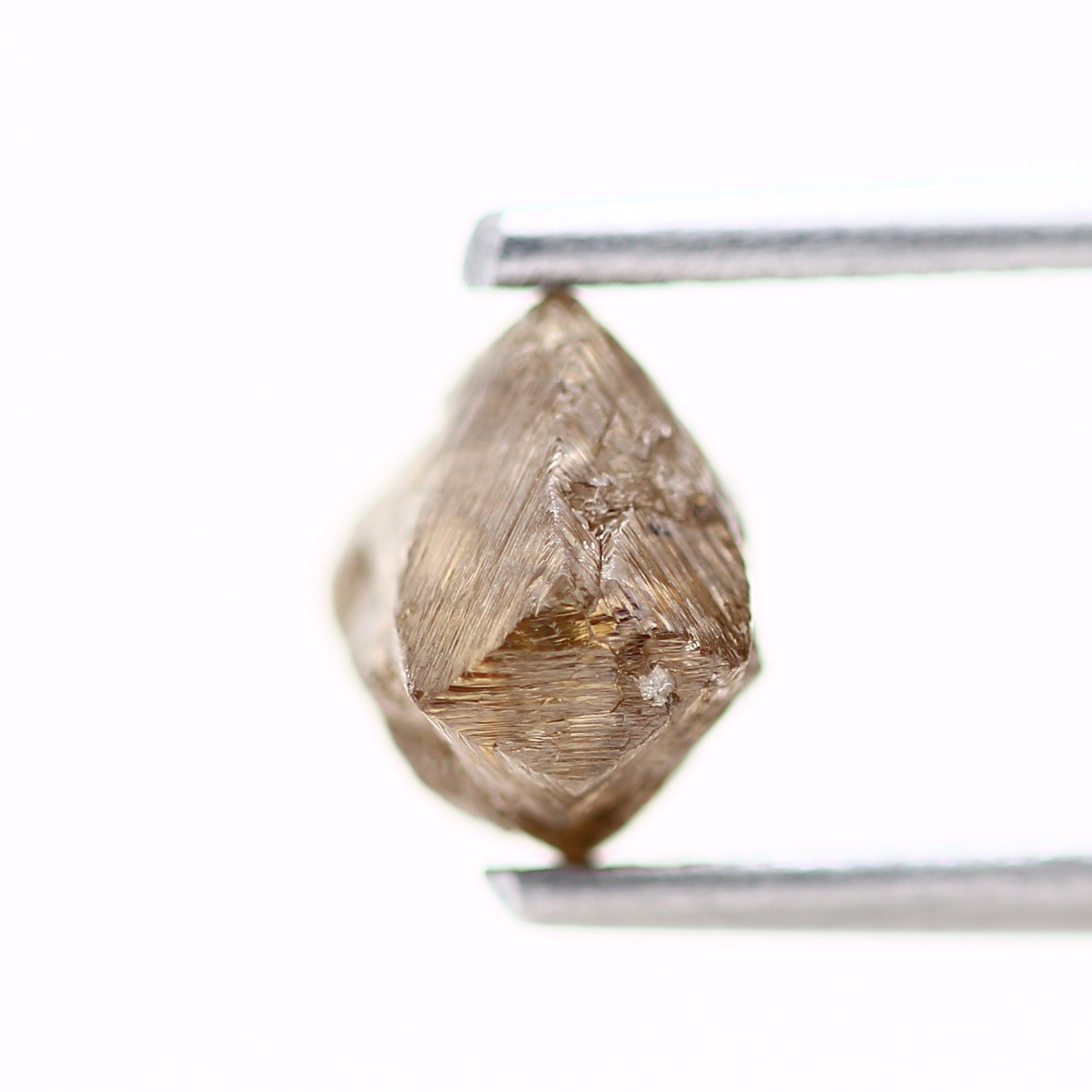 ClariOLED Transparent OLED Display price