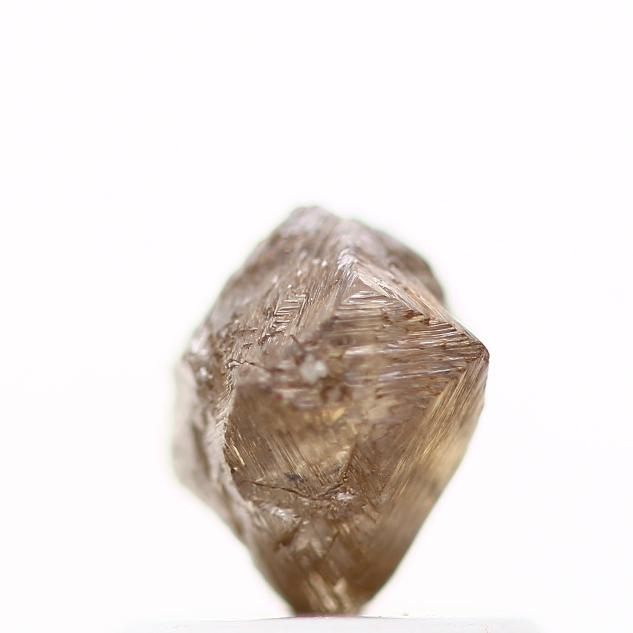 ClariOLED Transparent OLED Display price