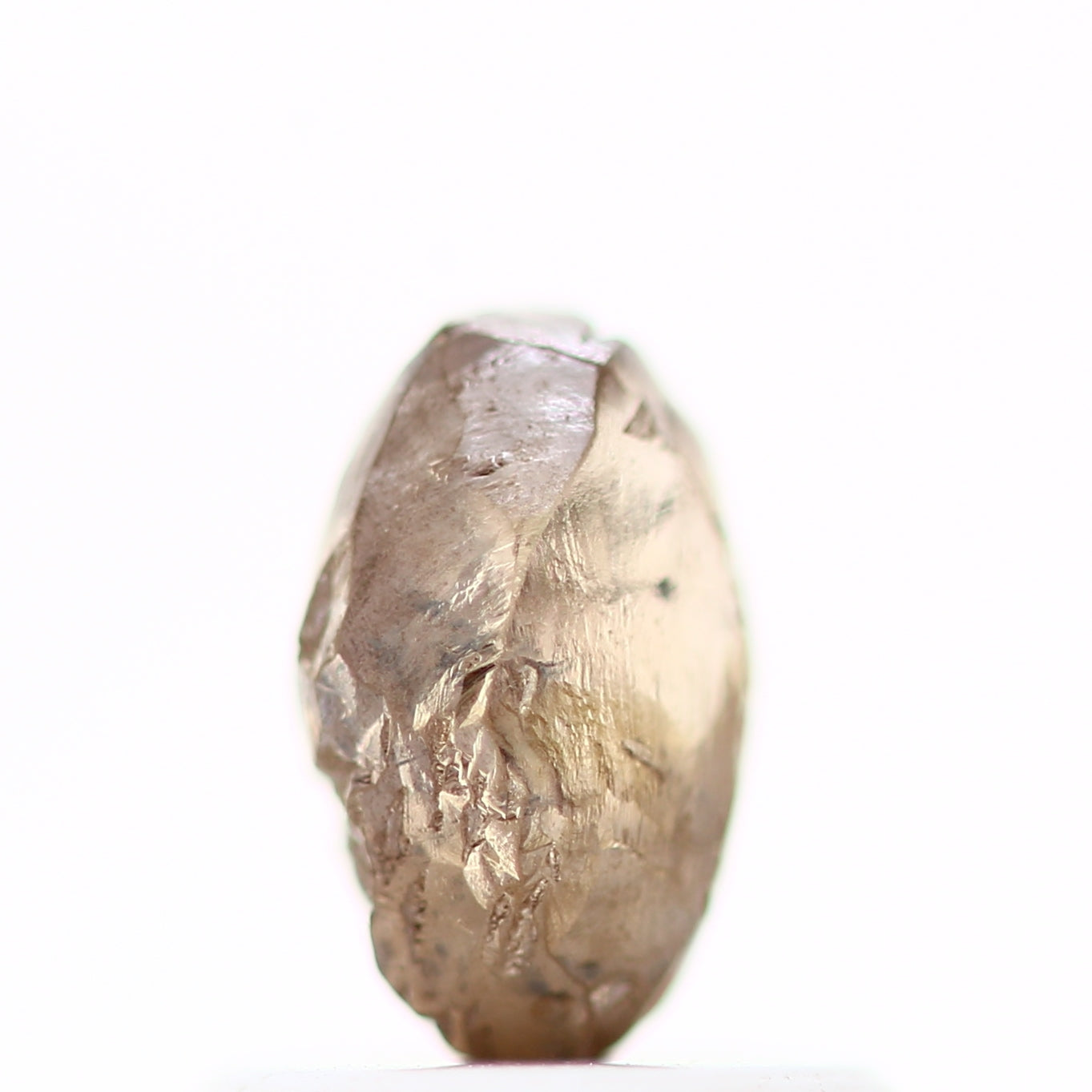 ClariOLED Transparent OLED Display price