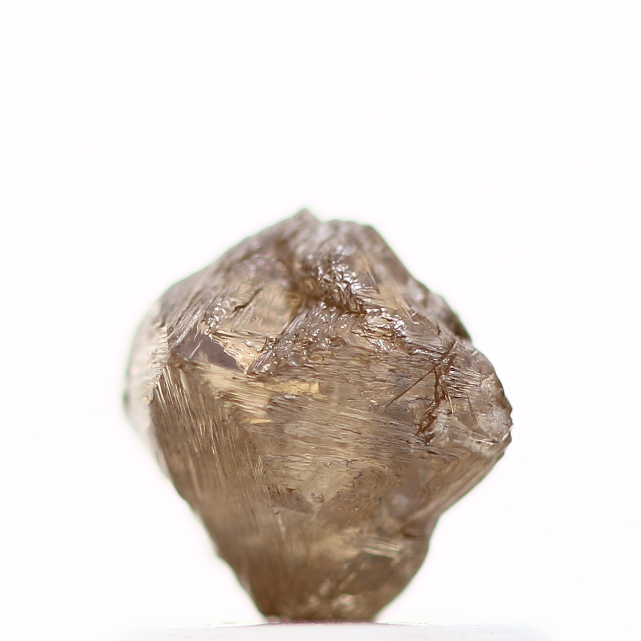 ClariOLED Transparent OLED Display price