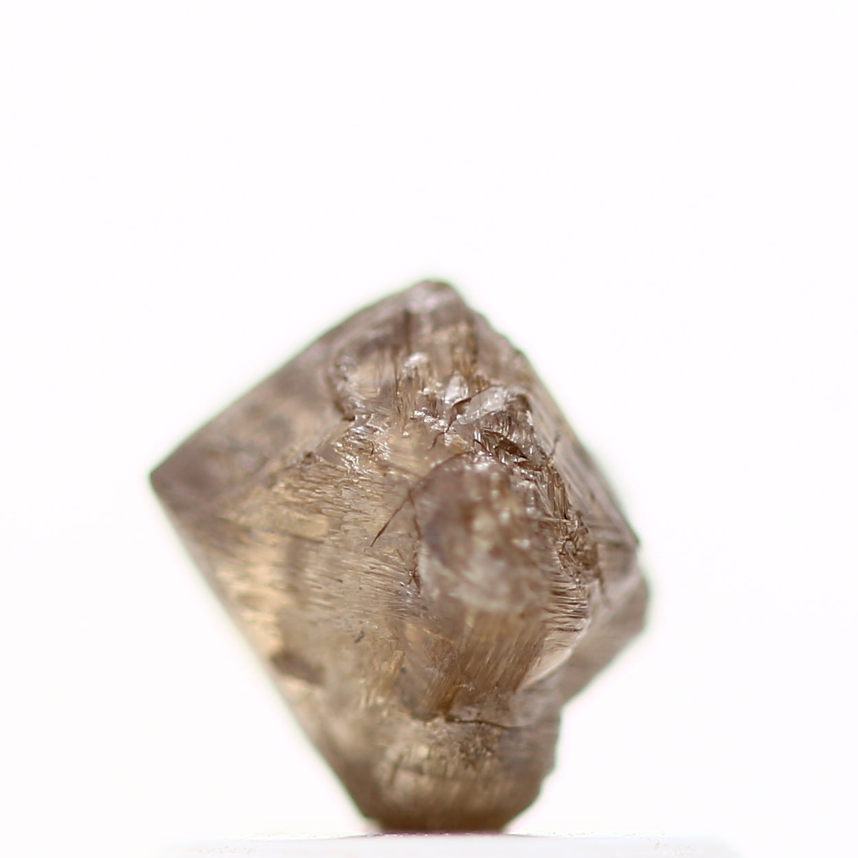 ClariOLED Transparent OLED Display price