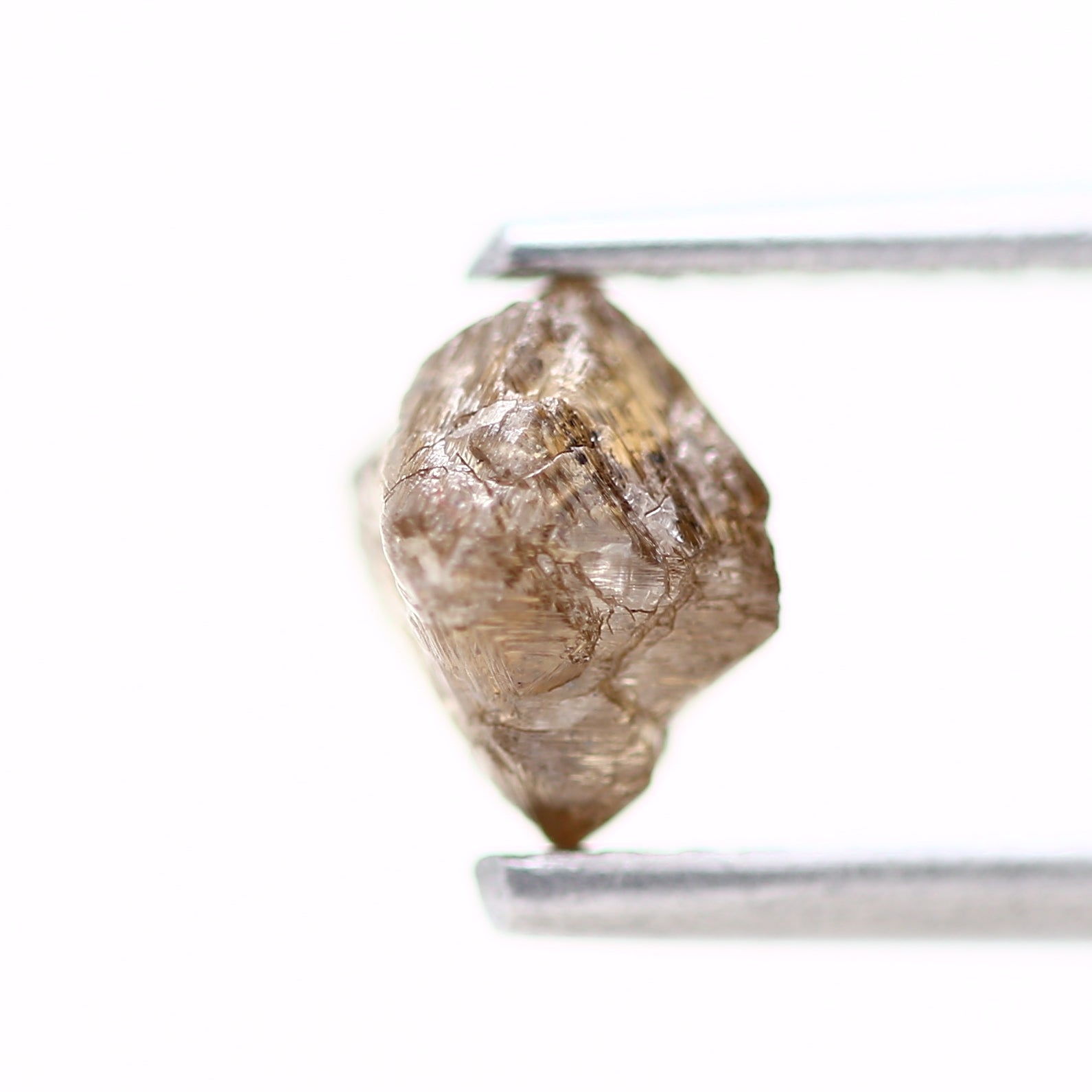 ClariOLED Transparent OLED Display price