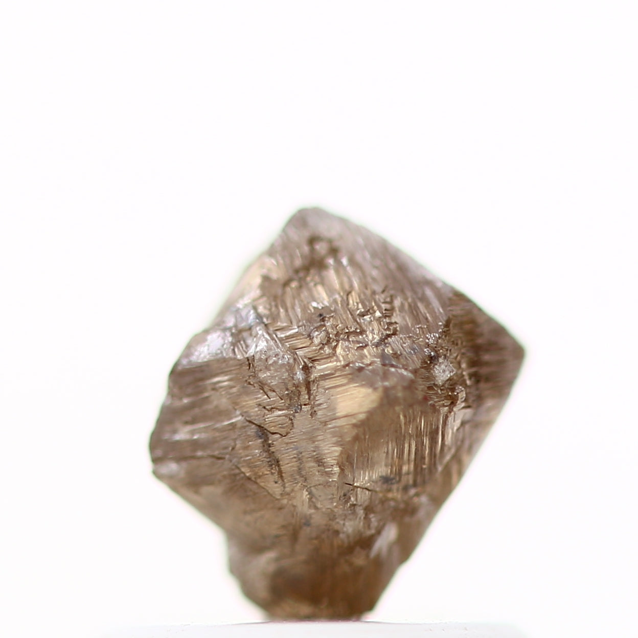 ClariOLED Transparent OLED Display price