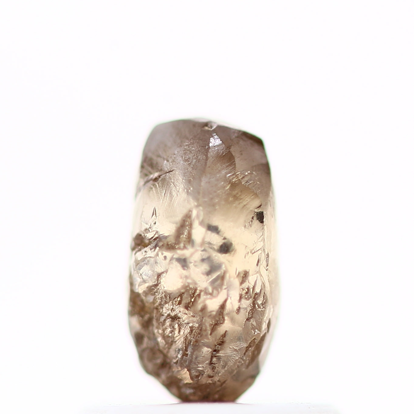 ClariOLED Transparent OLED Display price