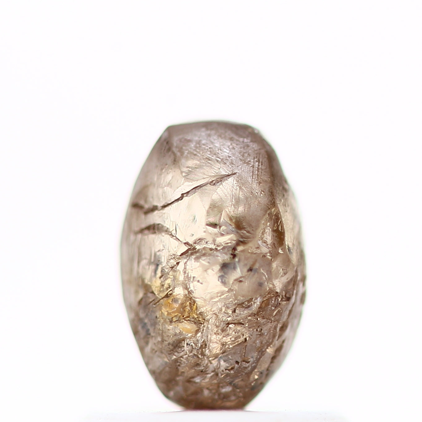 ClariOLED Transparent OLED Display price