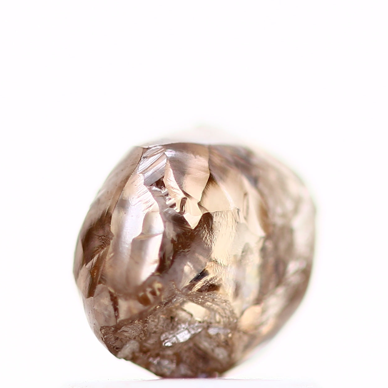 ClariOLED Transparent OLED Display price