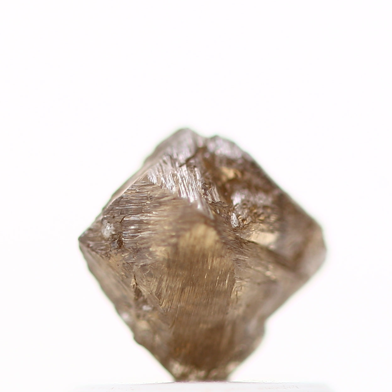 ClariOLED Transparent OLED Display price