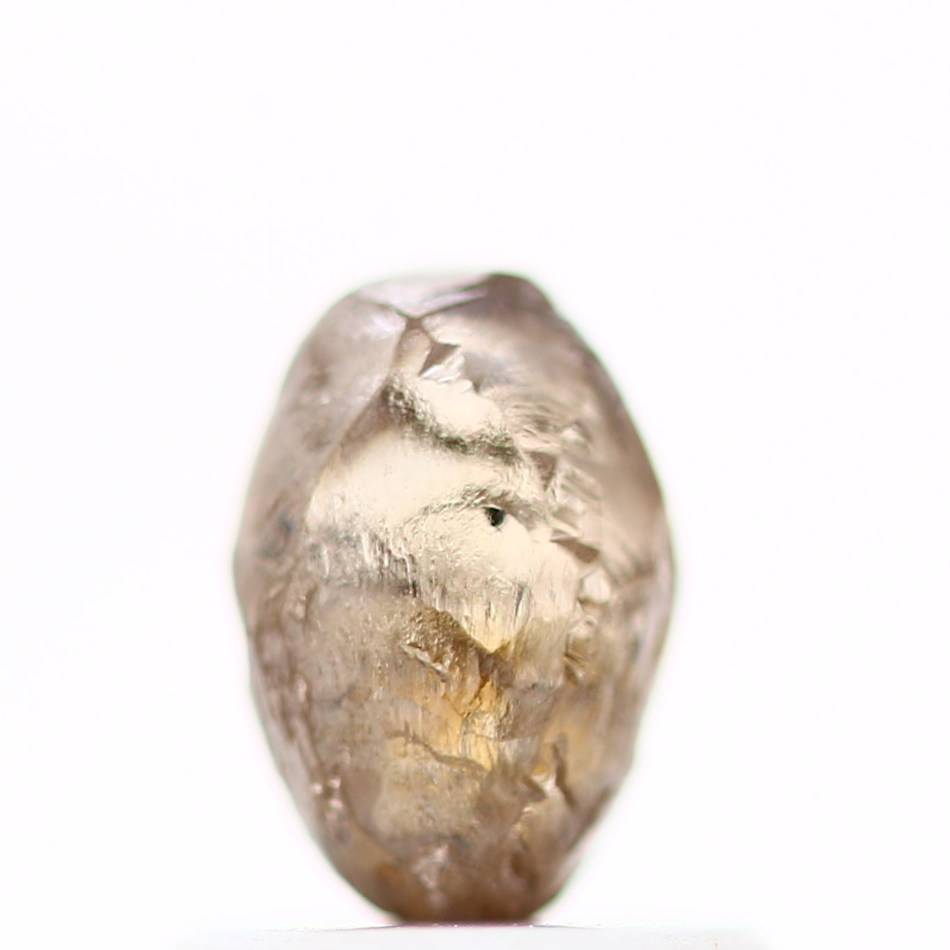 ClariOLED Transparent OLED Display price