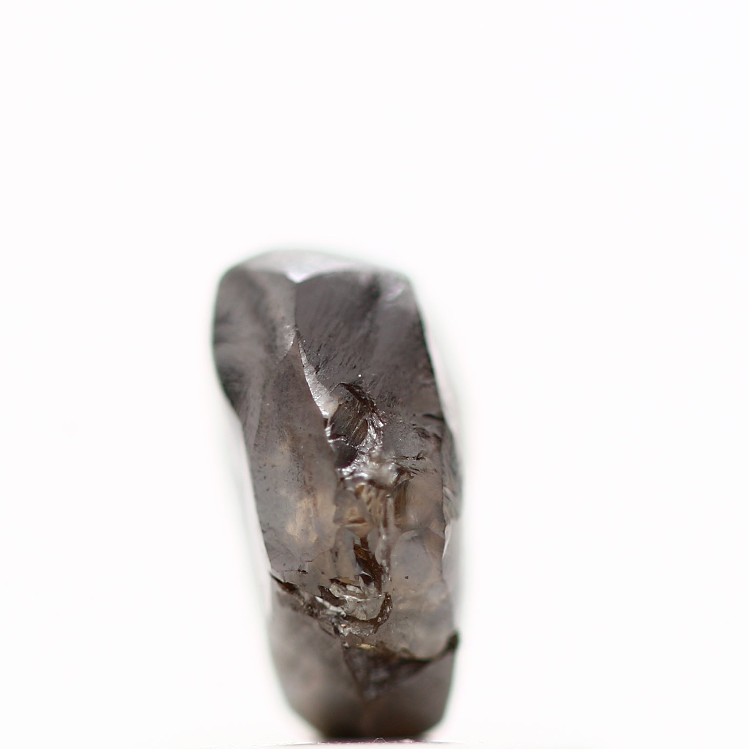 ClariOLED Transparent OLED Display price