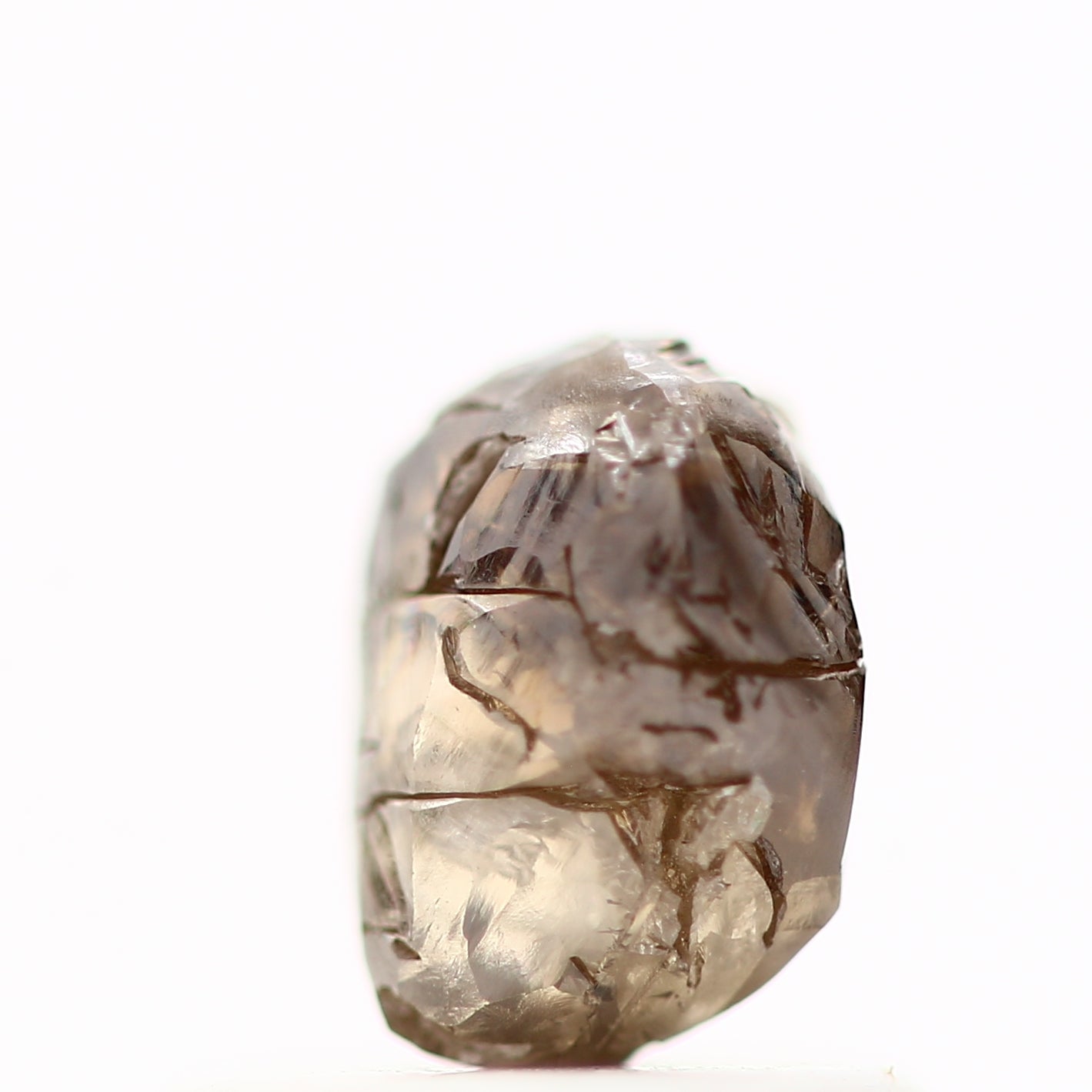 ClariOLED Transparent OLED Display price