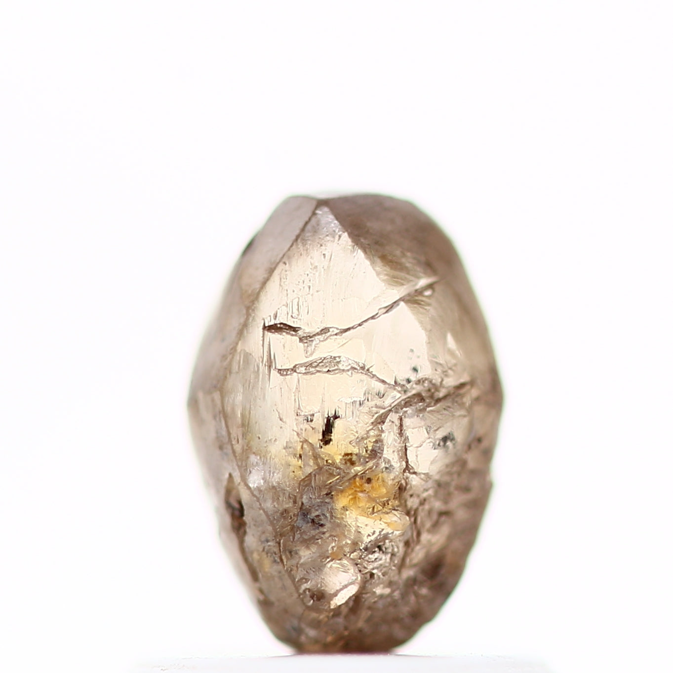 ClariOLED Transparent OLED Display price