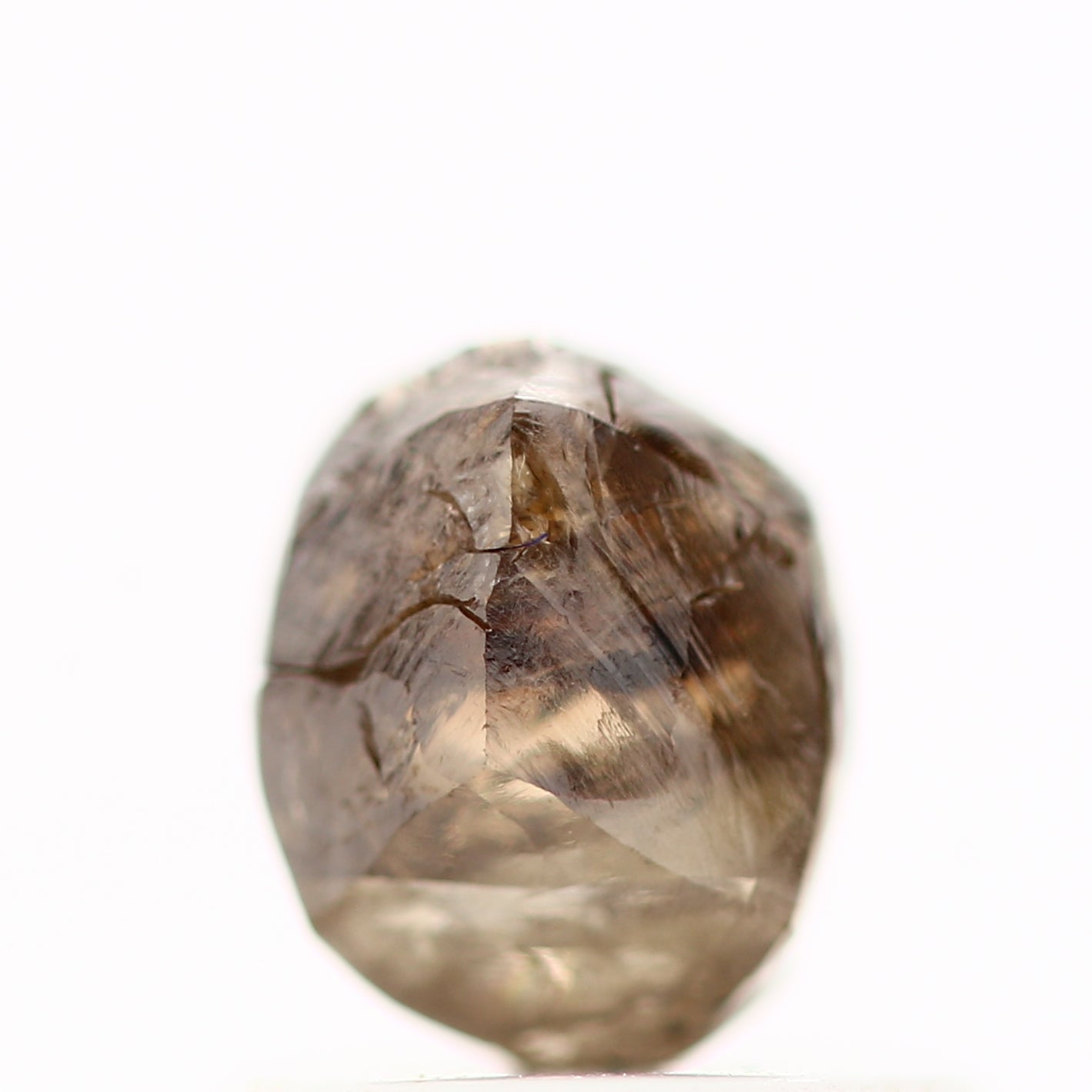 ClariOLED Transparent OLED Display price