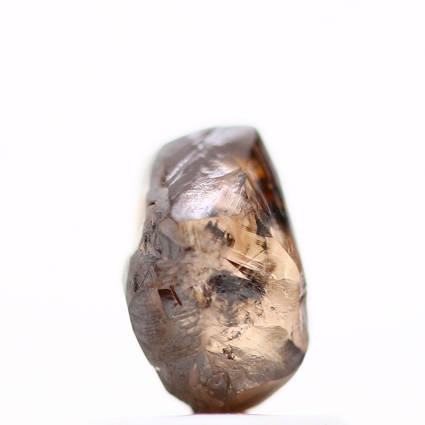 ClariOLED Transparent OLED Display price