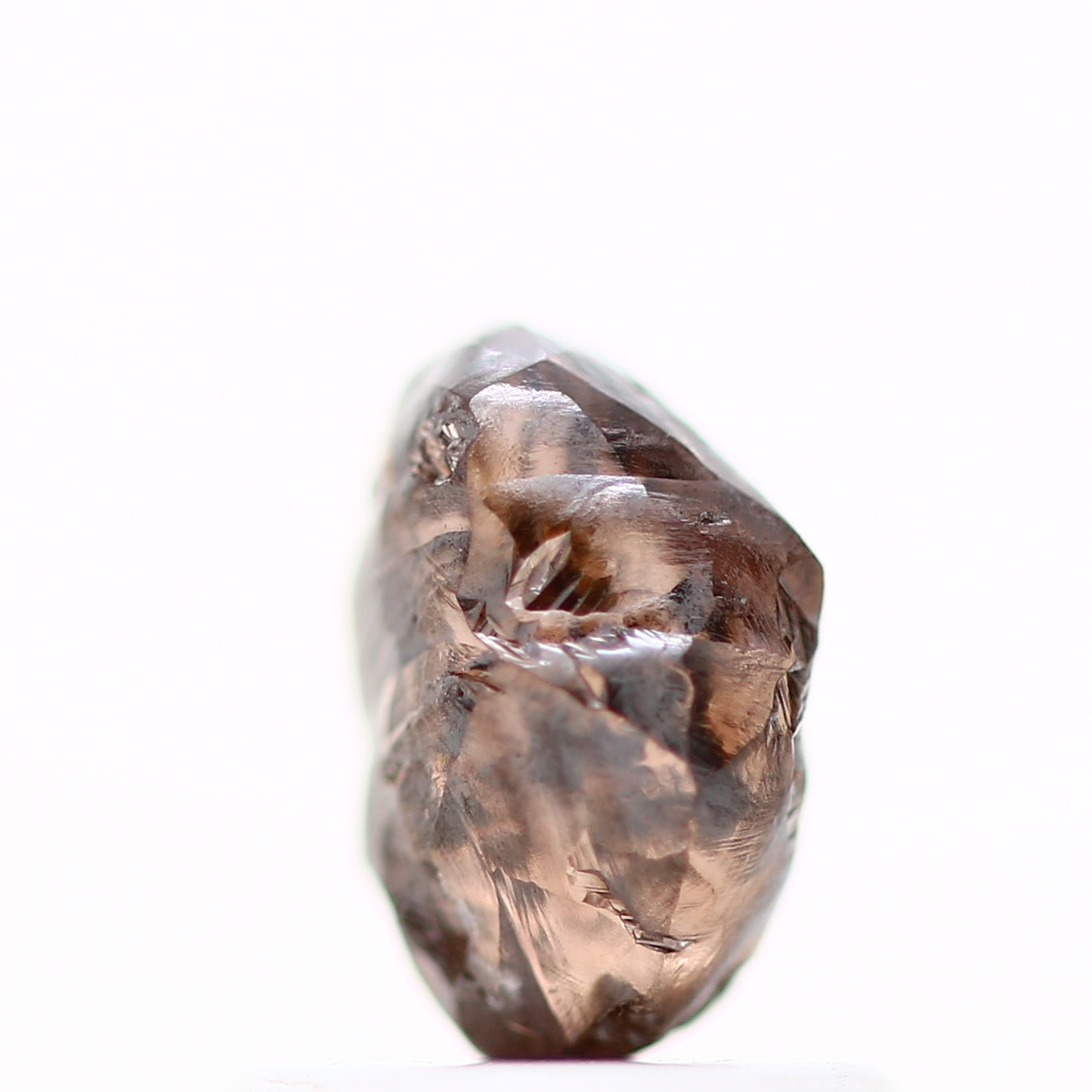 ClariOLED Transparent OLED Display price