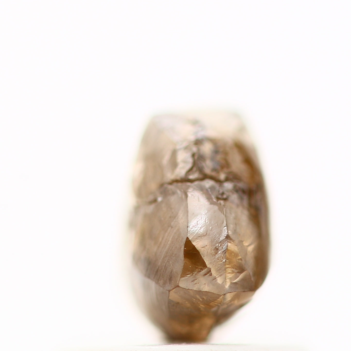 ClariOLED Transparent OLED Display price