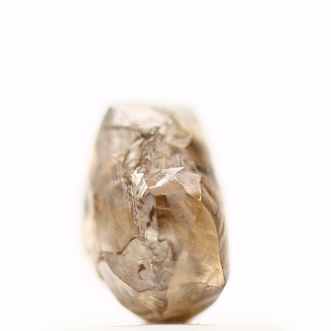 ClariOLED Transparent OLED Display price