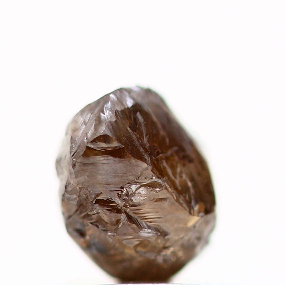 ClariOLED Transparent OLED Display price