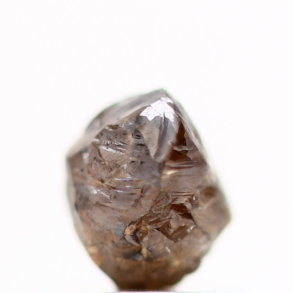 ClariOLED Transparent OLED Display price