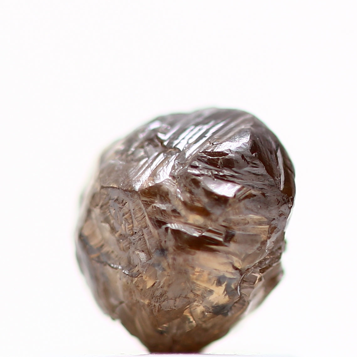 ClariOLED Transparent OLED Display price