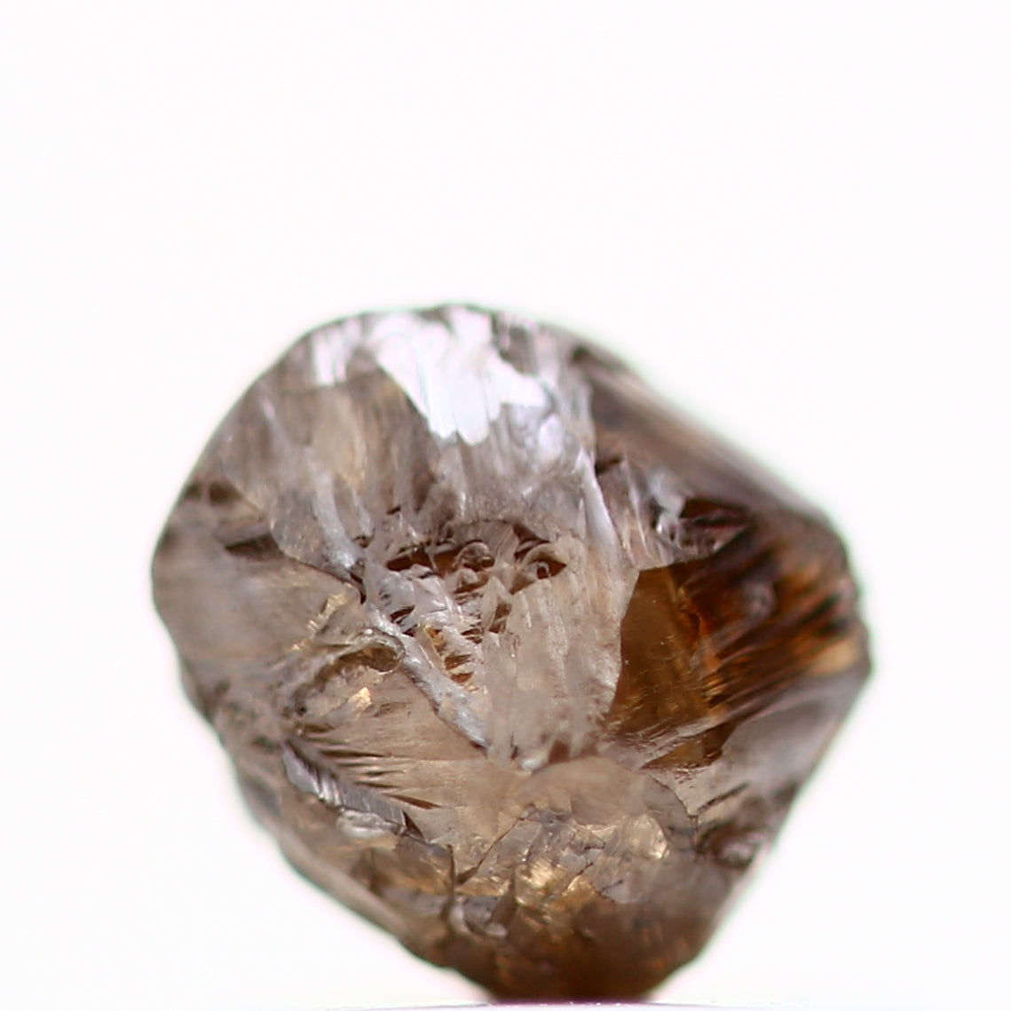 ClariOLED Transparent OLED Display price