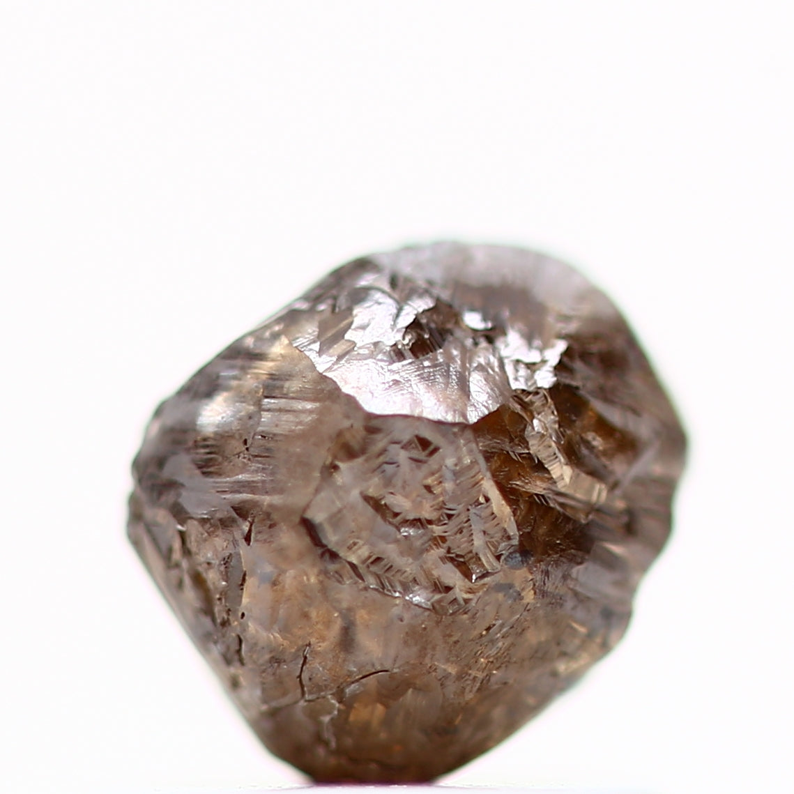 ClariOLED Transparent OLED Display price