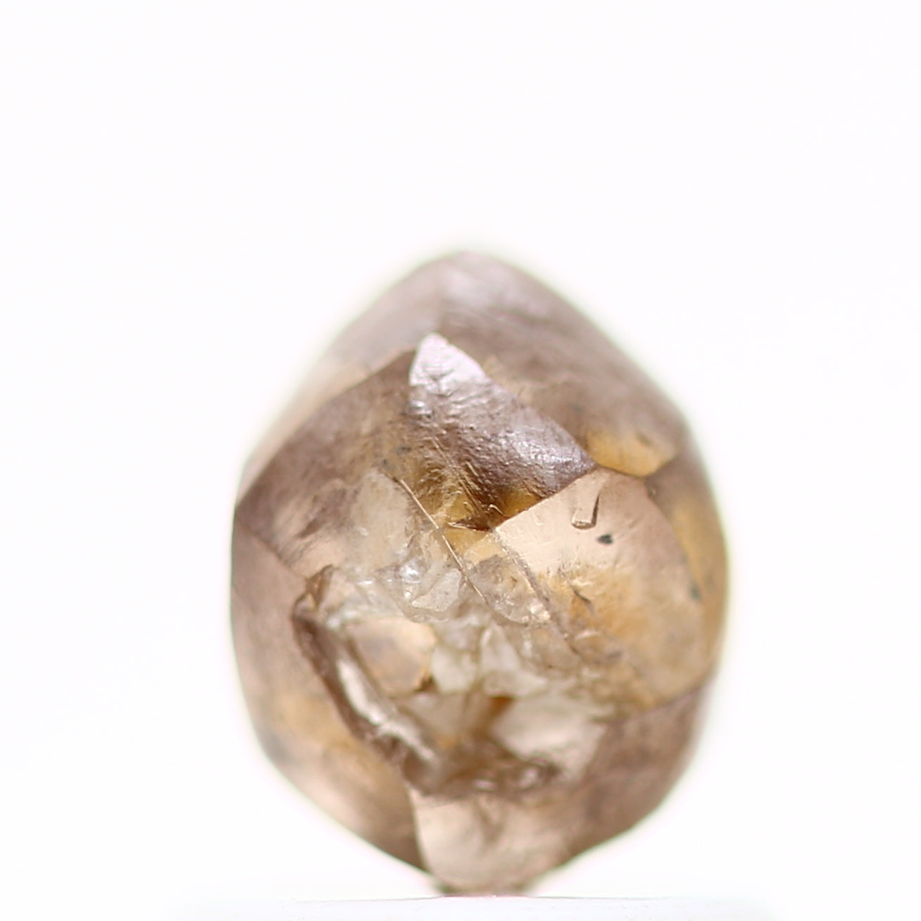 ClariOLED Transparent OLED Display price