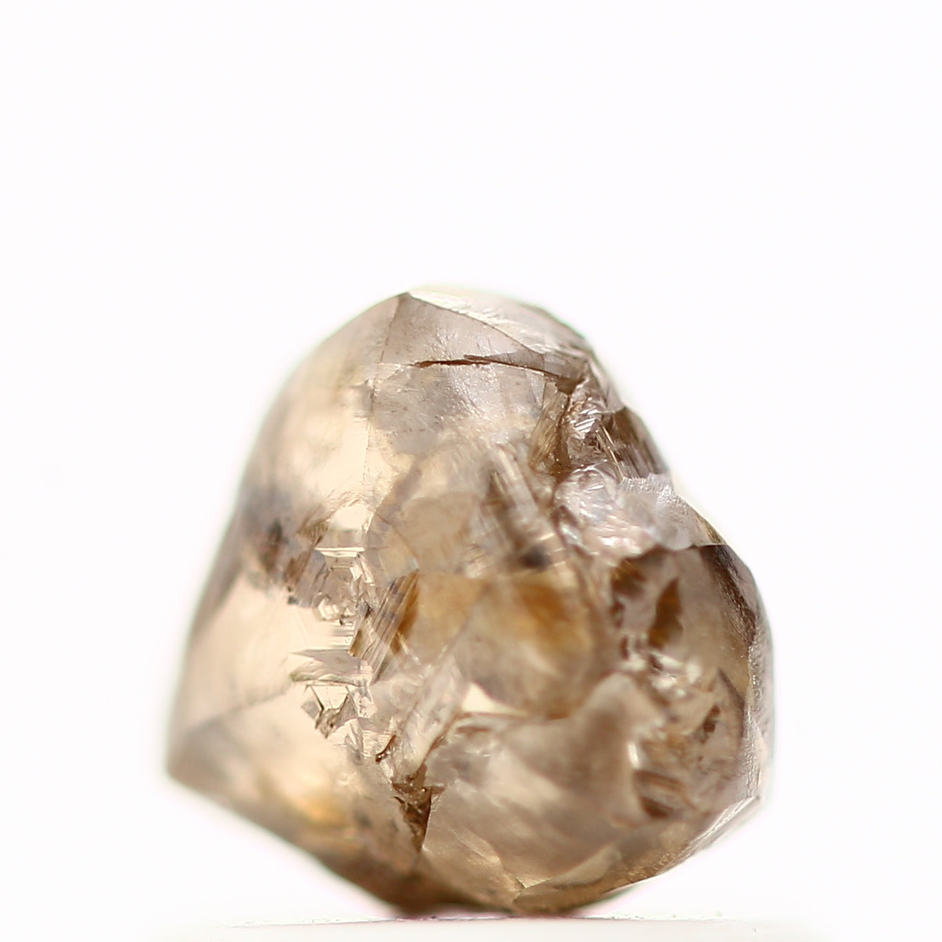 ClariOLED Transparent OLED Display price