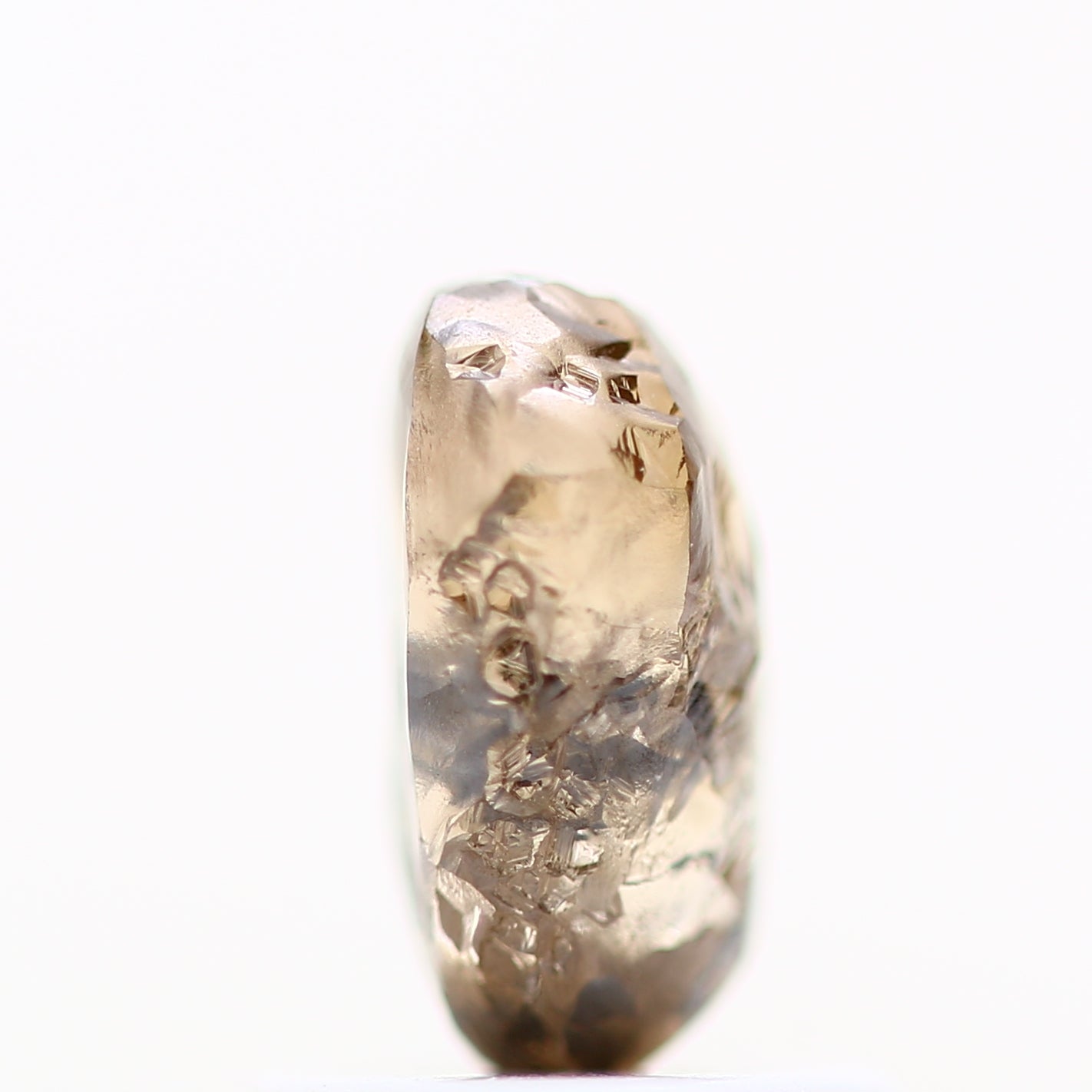 ClariOLED Transparent OLED Display price