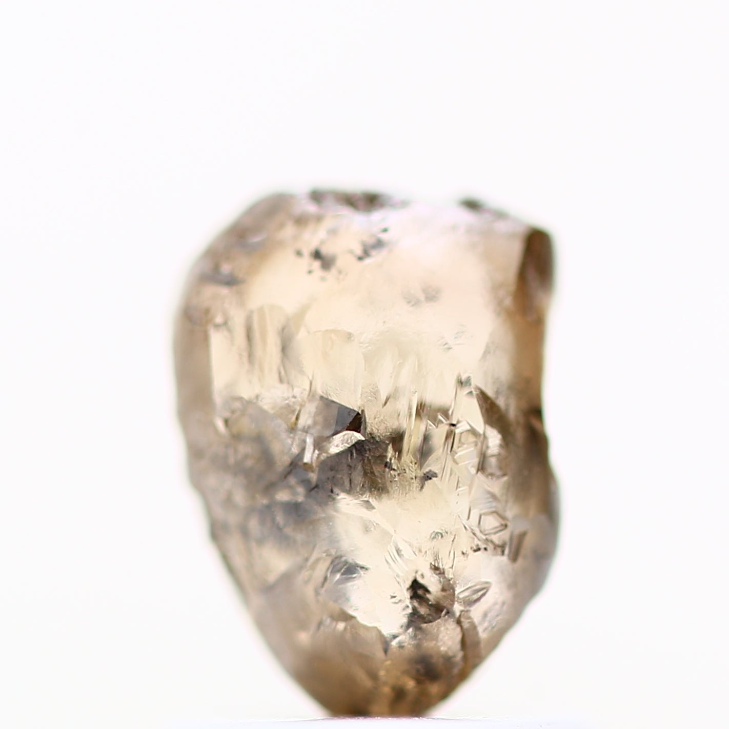 ClariOLED Transparent OLED Display price