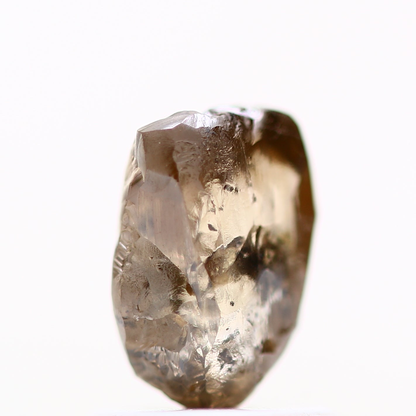 ClariOLED Transparent OLED Display price