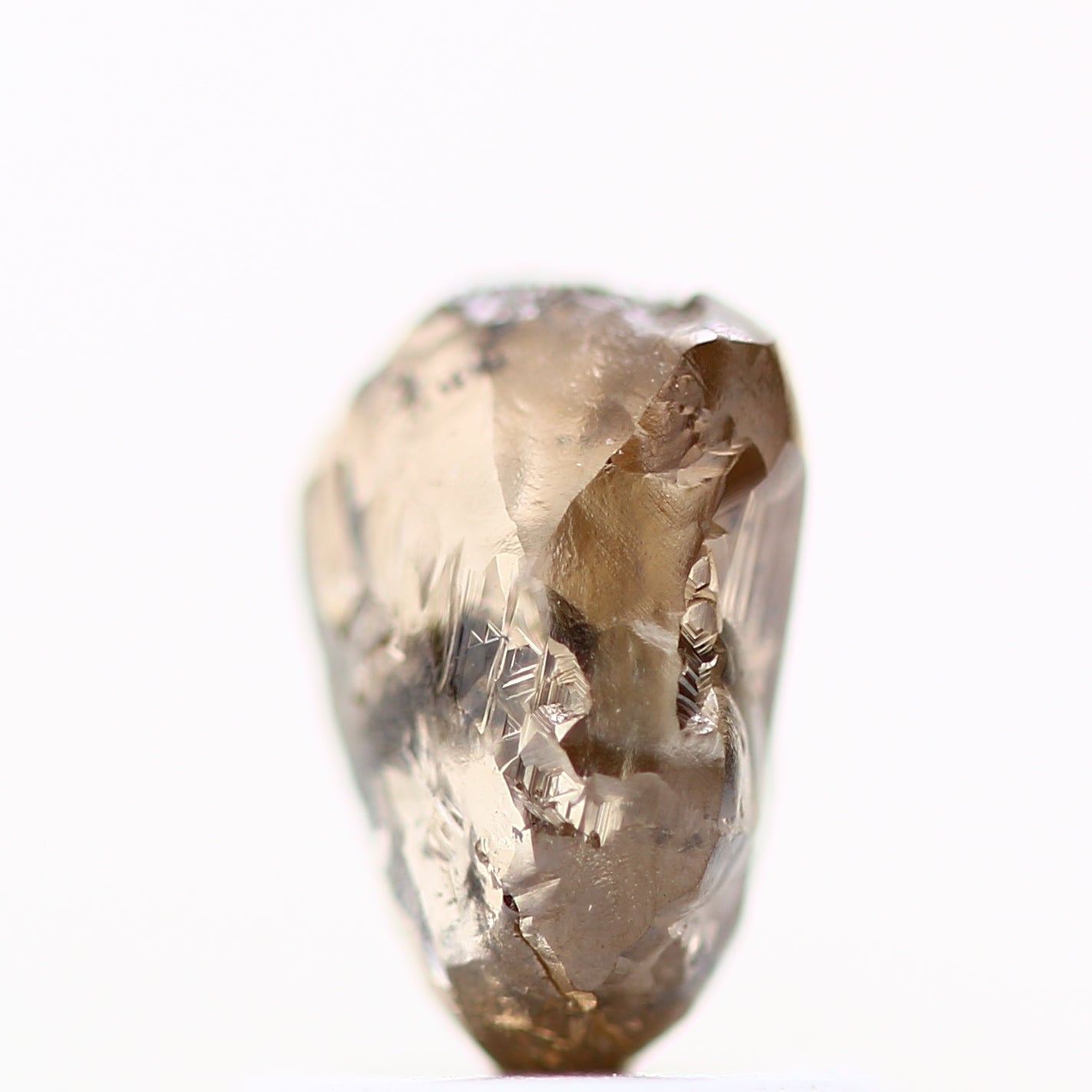 ClariOLED Transparent OLED Display price