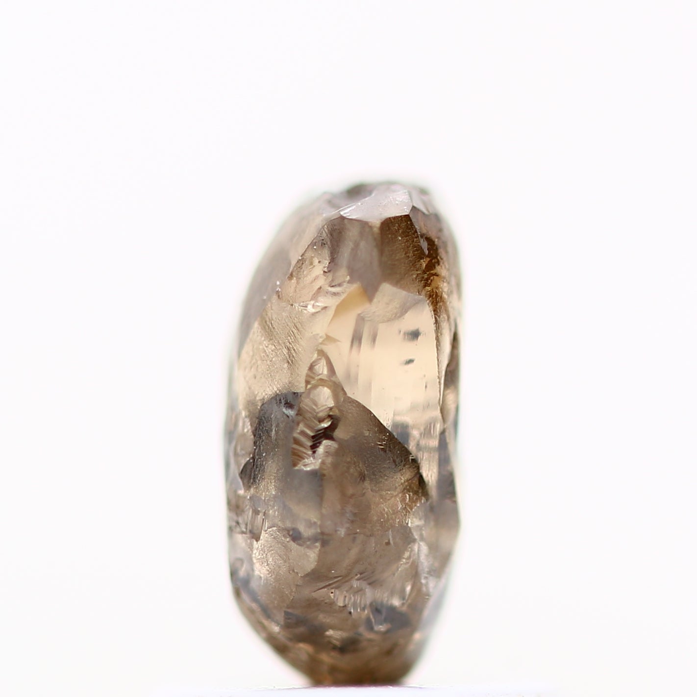 ClariOLED Transparent OLED Display price