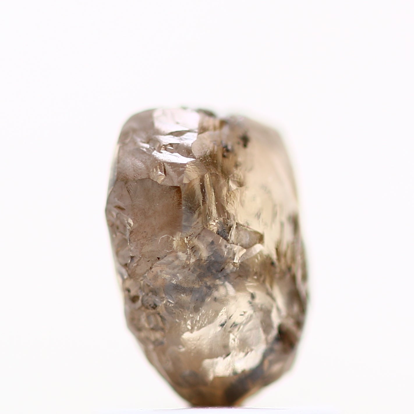 ClariOLED Transparent OLED Display price