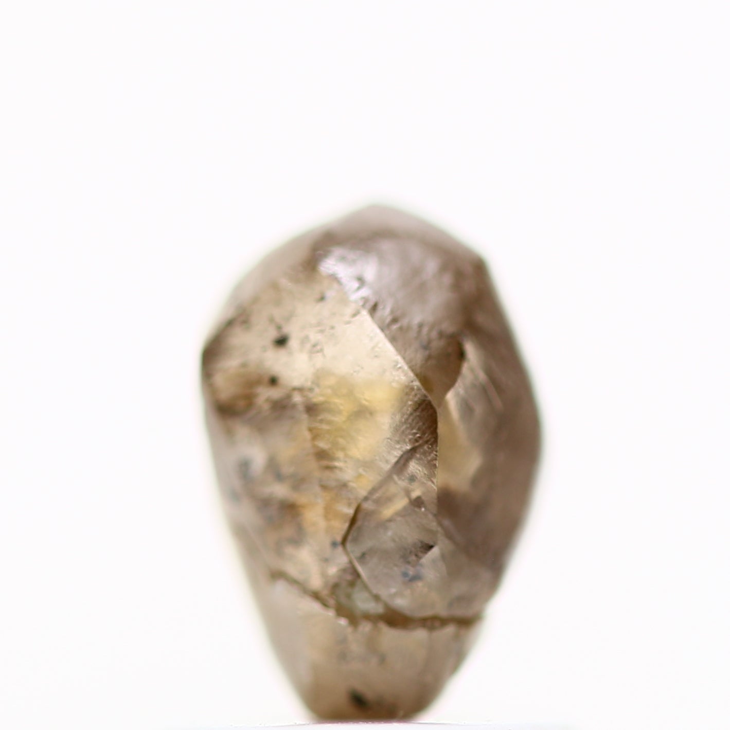 ClariOLED Transparent OLED Display price