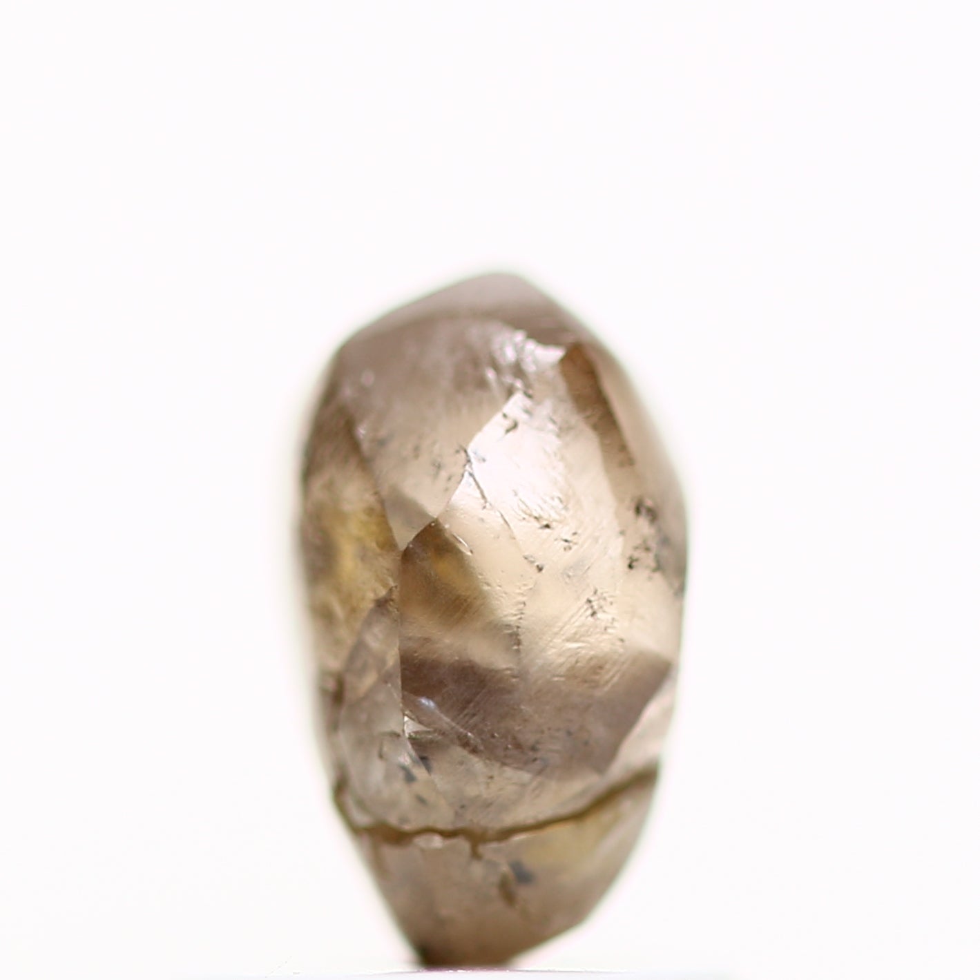 ClariOLED Transparent OLED Display price