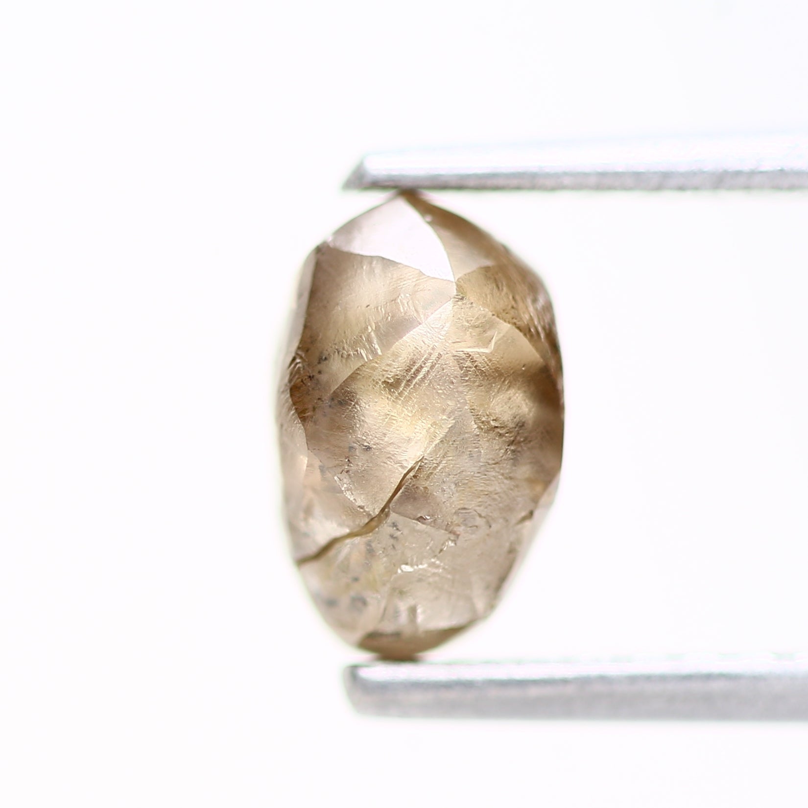 ClariOLED Transparent OLED Display price