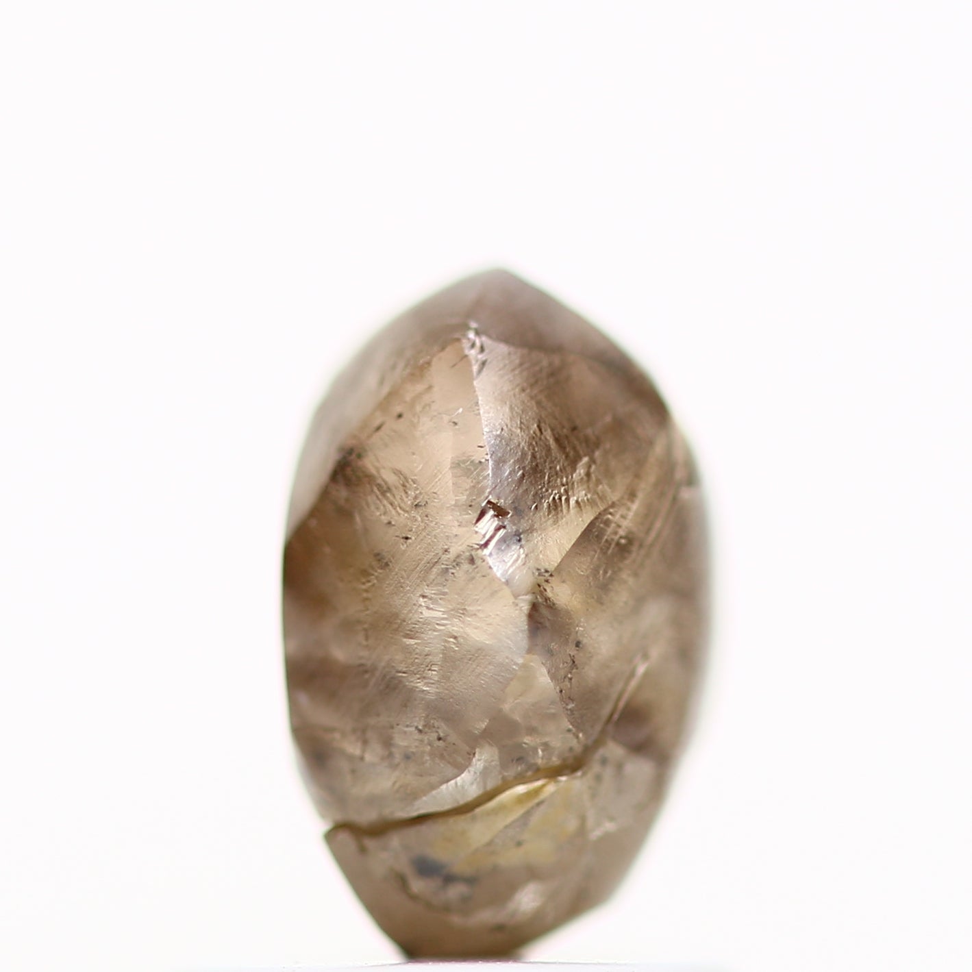 ClariOLED Transparent OLED Display price