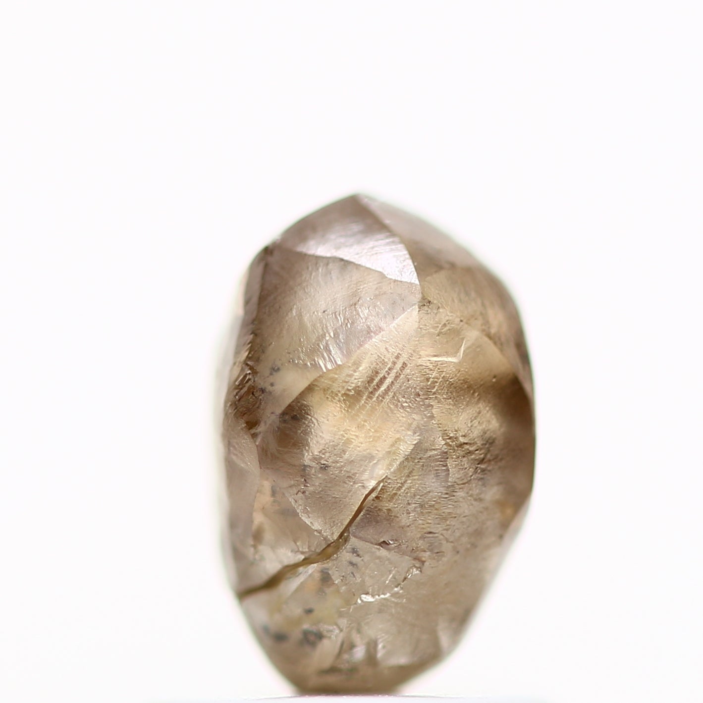 ClariOLED Transparent OLED Display price