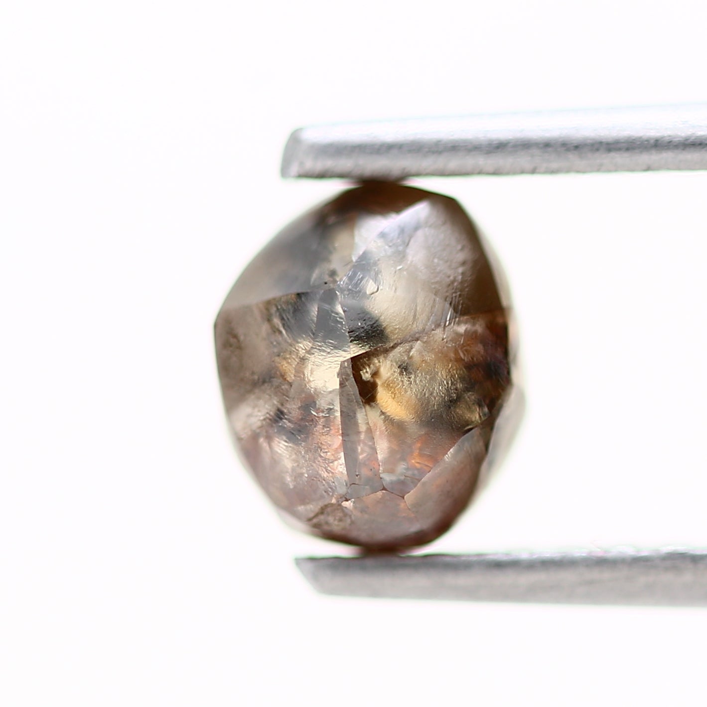 ClariOLED Transparent OLED Display price