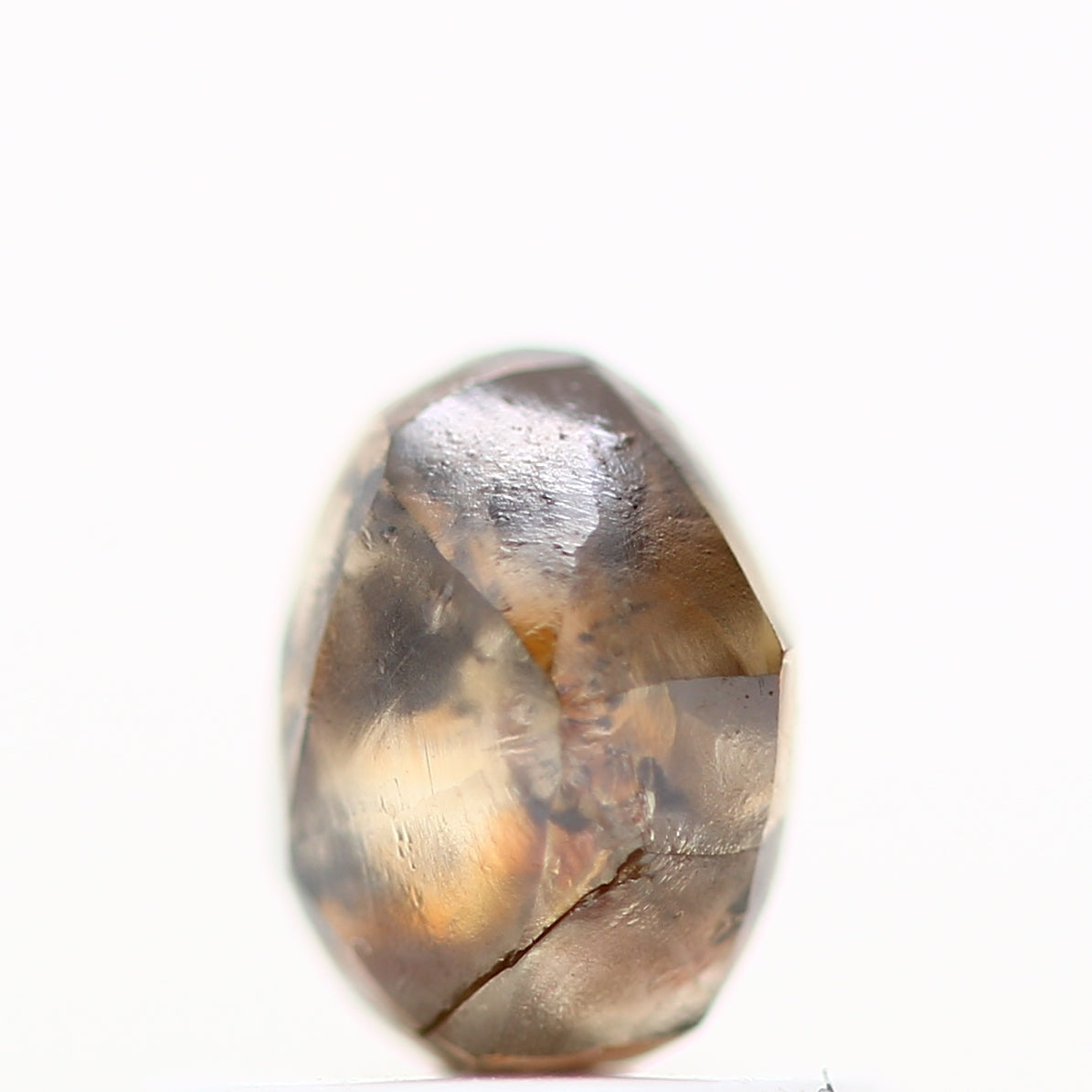 ClariOLED Transparent OLED Display price