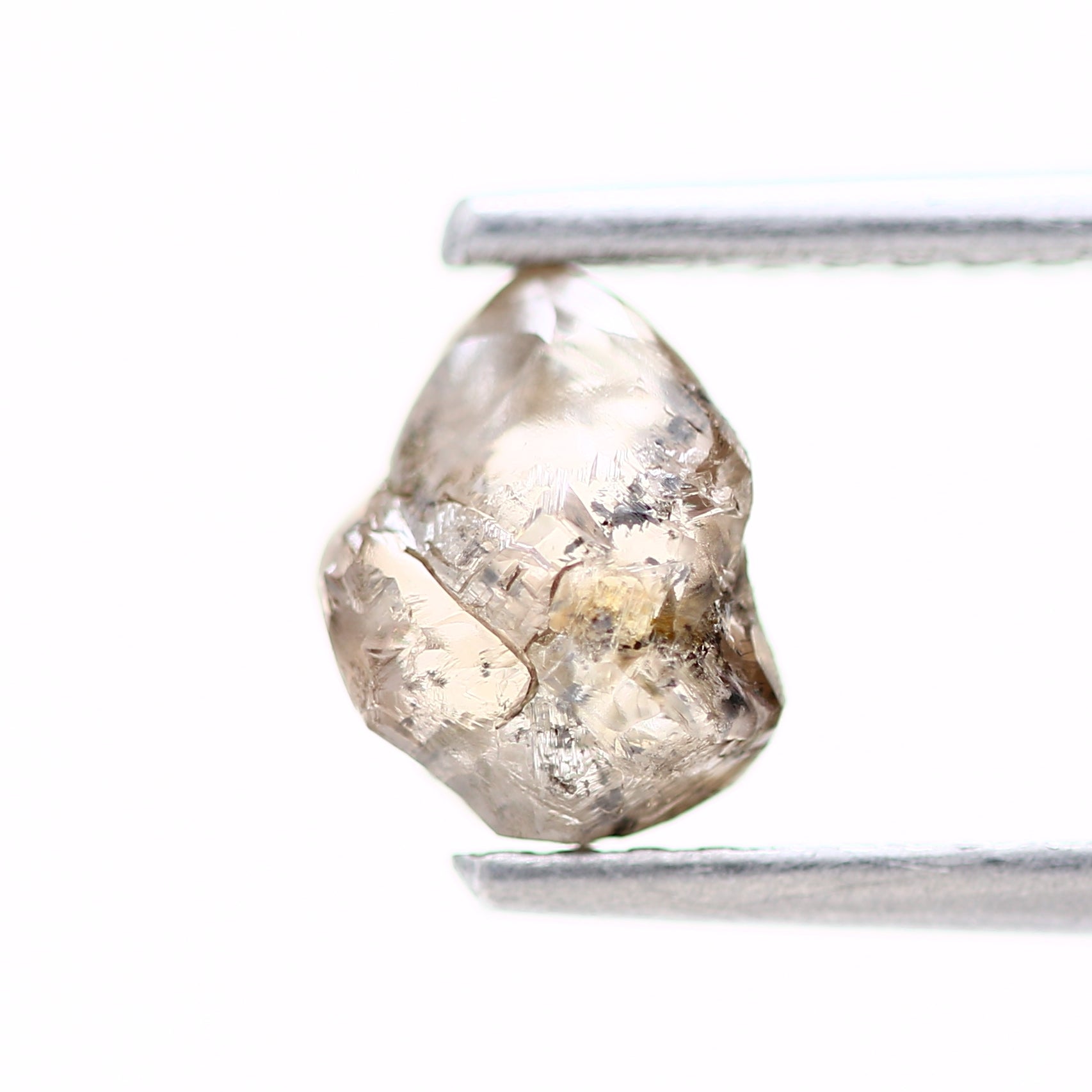 ClariOLED Transparent OLED Display price