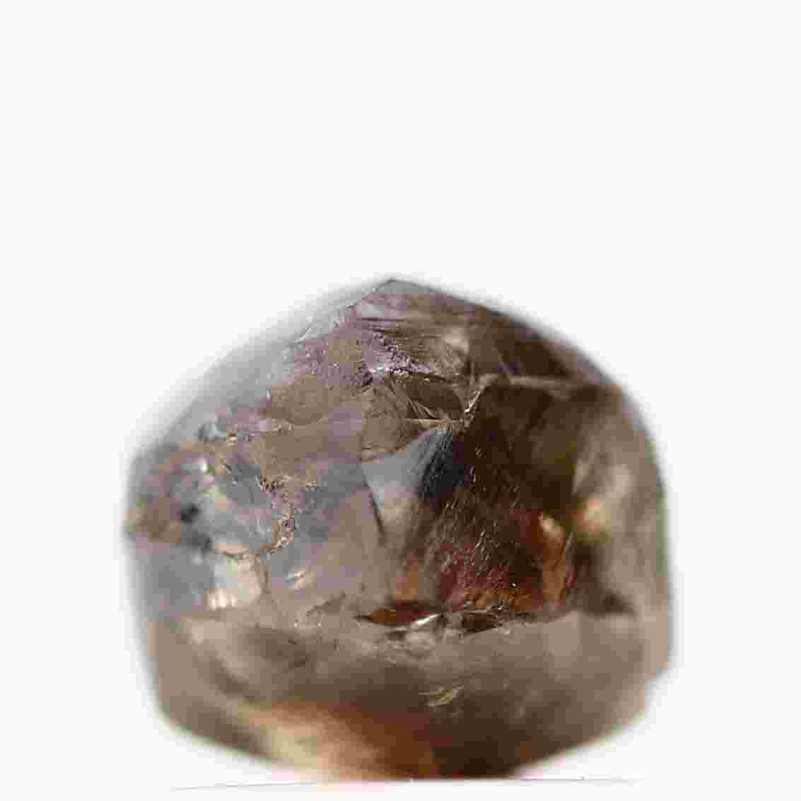 ClariOLED Transparent OLED Display price