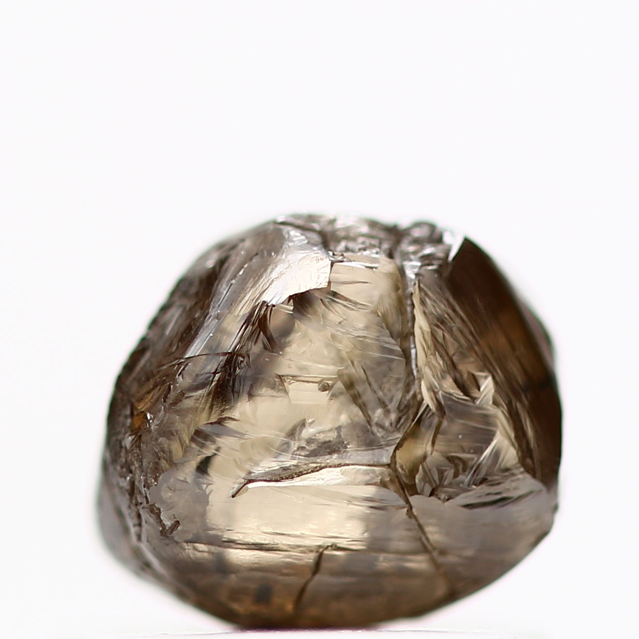 ClariOLED Transparent OLED Display price